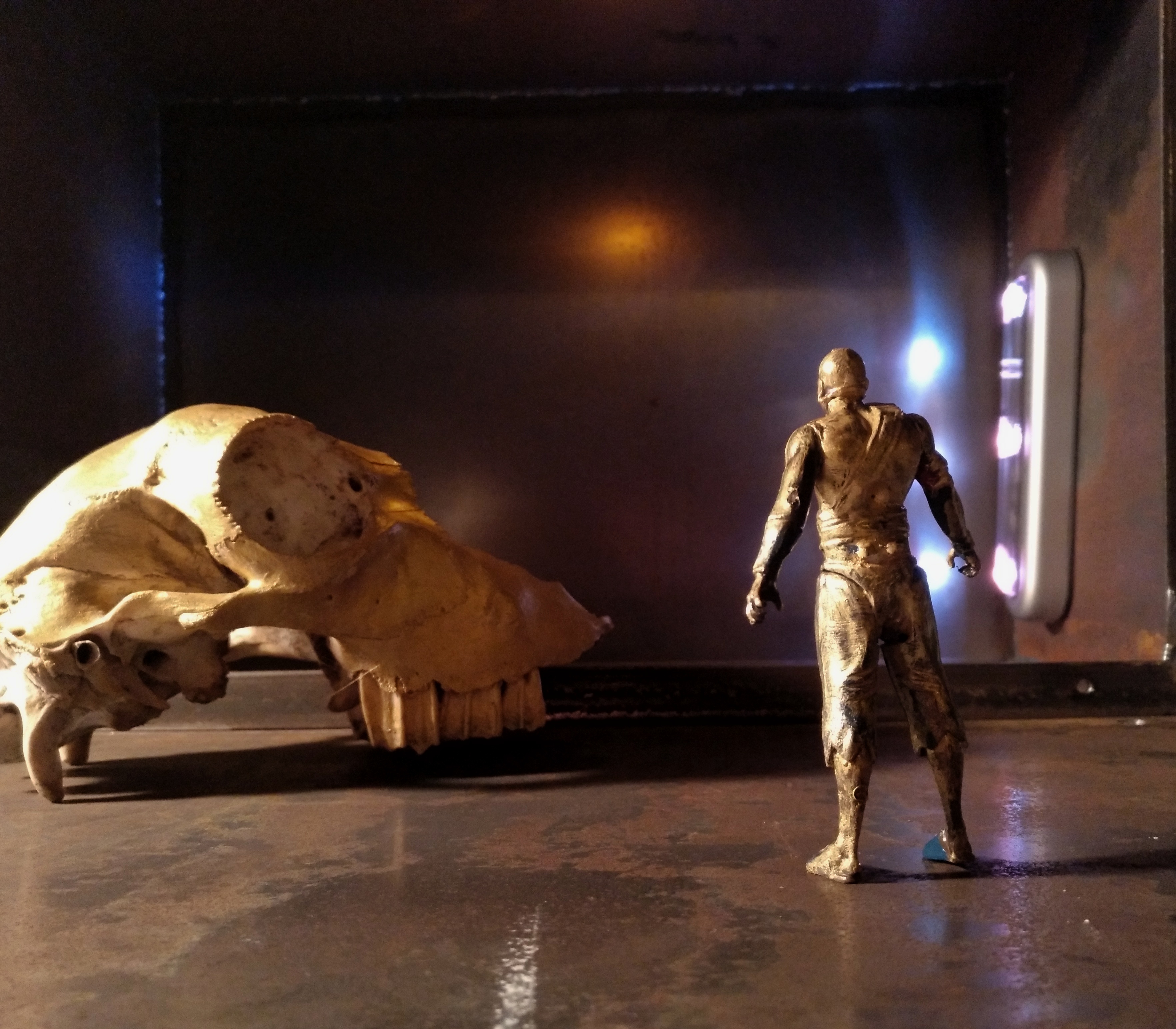 IMG_20171010_205851_356-01