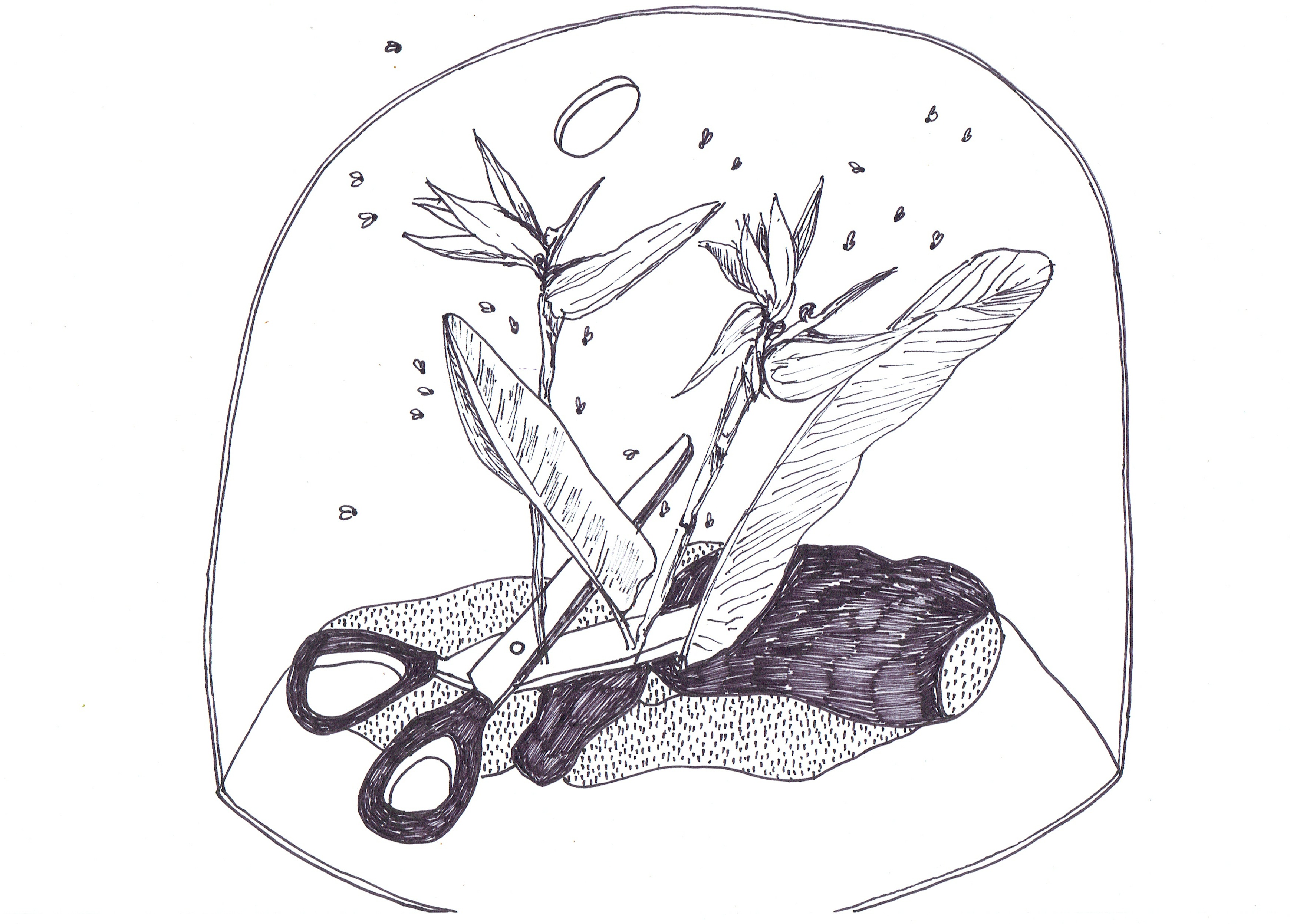 FLOR.DEL.PARAISO.VITRINA